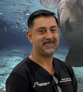 Prashant Pandya, D.M.D.